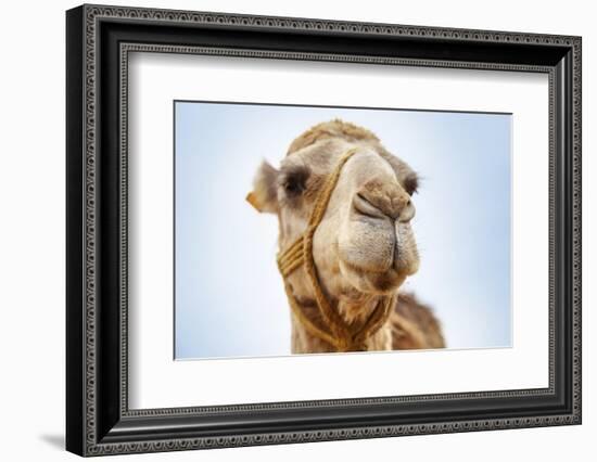 Tunisia 28-Ben Heine-Framed Photographic Print