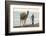 Tunisia 45-Ben Heine-Framed Photographic Print