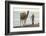 Tunisia 45-Ben Heine-Framed Photographic Print