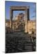 Premium Photographic Print