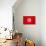 Tunisia Flag Design with Wood Patterning - Flags of the World Series-Philippe Hugonnard-Art Print displayed on a wall