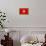 Tunisia Flag Design with Wood Patterning - Flags of the World Series-Philippe Hugonnard-Framed Stretched Canvas displayed on a wall