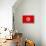 Tunisia Flag Design with Wood Patterning - Flags of the World Series-Philippe Hugonnard-Framed Stretched Canvas displayed on a wall