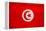 Tunisia Flag Design with Wood Patterning - Flags of the World Series-Philippe Hugonnard-Framed Stretched Canvas