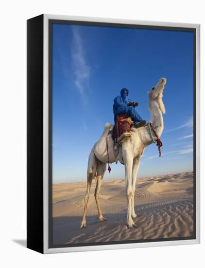 Tunisia, Sahara Desert, Douz, Great Dune, Rider and Camel-Walter Bibikow-Framed Premier Image Canvas