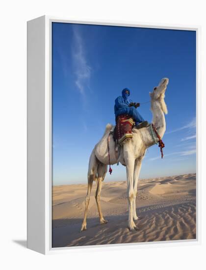 Tunisia, Sahara Desert, Douz, Great Dune, Rider and Camel-Walter Bibikow-Framed Premier Image Canvas