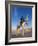 Tunisia, Sahara Desert, Douz, Great Dune, Rider and Camel-Walter Bibikow-Framed Photographic Print