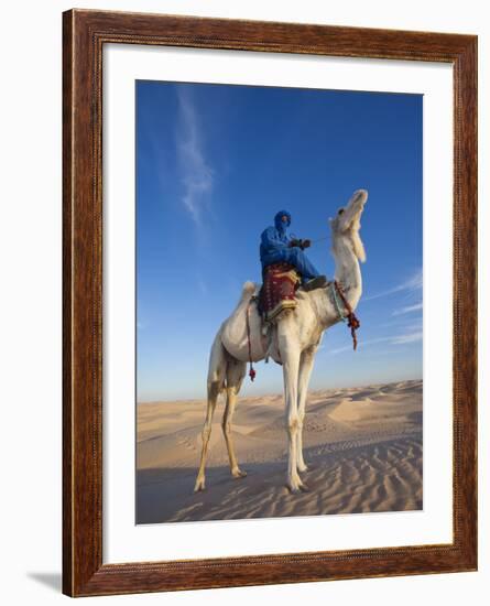 Tunisia, Sahara Desert, Douz, Great Dune, Rider and Camel-Walter Bibikow-Framed Photographic Print