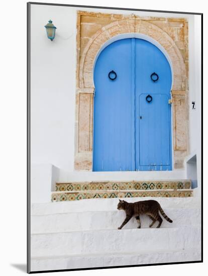 Tunisia, Sidi Bou Said, Building Detail-Walter Bibikow-Mounted Photographic Print