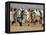 Tunisian Men Play Oggaf-null-Framed Premier Image Canvas