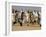 Tunisian Men Play Oggaf-null-Framed Photographic Print