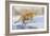 Tunja, the Siberian-Leonard Pearman-Framed Giclee Print