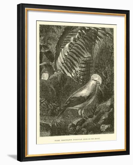 Tunki Peruvianus, Peruvian Cock-Of-The-Rock-Édouard Riou-Framed Giclee Print