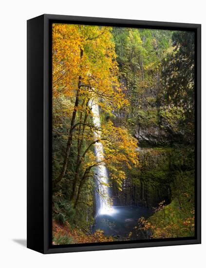 Tunnel Falls in a Fall Color Scene on Eagle Creek in the Columbia Gorge, Oregon, USA-Gary Luhm-Framed Premier Image Canvas