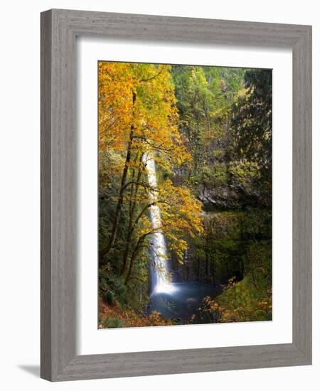 Tunnel Falls in a Fall Color Scene on Eagle Creek in the Columbia Gorge, Oregon, USA-Gary Luhm-Framed Photographic Print