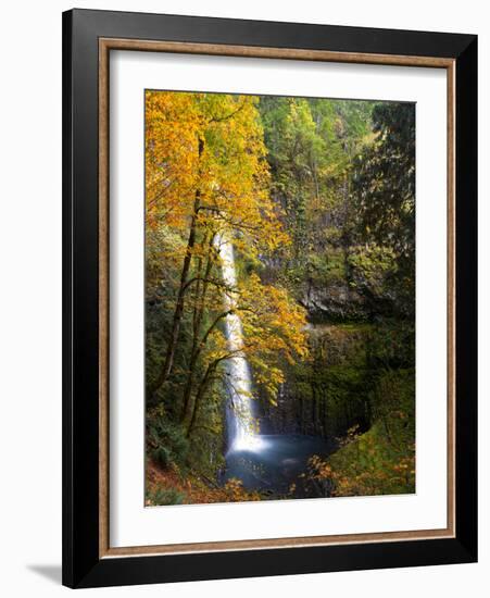 Tunnel Falls in a Fall Color Scene on Eagle Creek in the Columbia Gorge, Oregon, USA-Gary Luhm-Framed Photographic Print