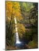 Tunnel Falls in a Fall Color Scene on Eagle Creek in the Columbia Gorge, Oregon, USA-Gary Luhm-Mounted Photographic Print