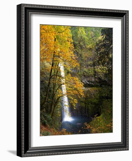 Tunnel Falls in a Fall Color Scene on Eagle Creek in the Columbia Gorge, Oregon, USA-Gary Luhm-Framed Photographic Print