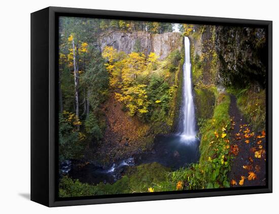 Tunnel Falls in a Fall Color Scene on Eagle Creek in the Columbia Gorge, Oregon, USA-Gary Luhm-Framed Premier Image Canvas