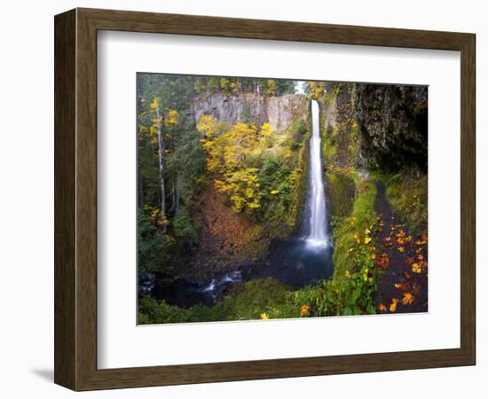 Tunnel Falls in a Fall Color Scene on Eagle Creek in the Columbia Gorge, Oregon, USA-Gary Luhm-Framed Photographic Print