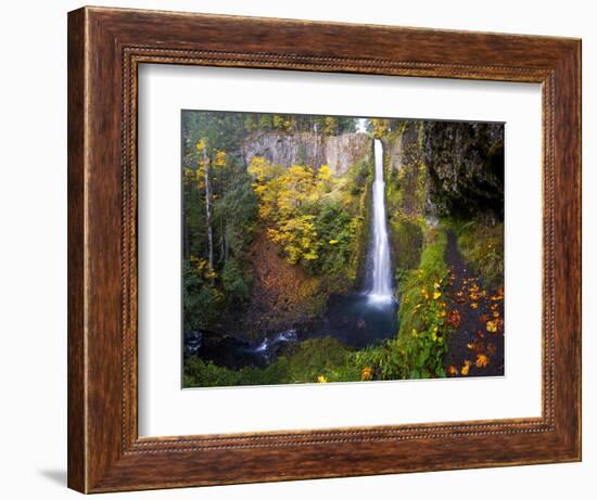 Tunnel Falls in a Fall Color Scene on Eagle Creek in the Columbia Gorge, Oregon, USA-Gary Luhm-Framed Photographic Print