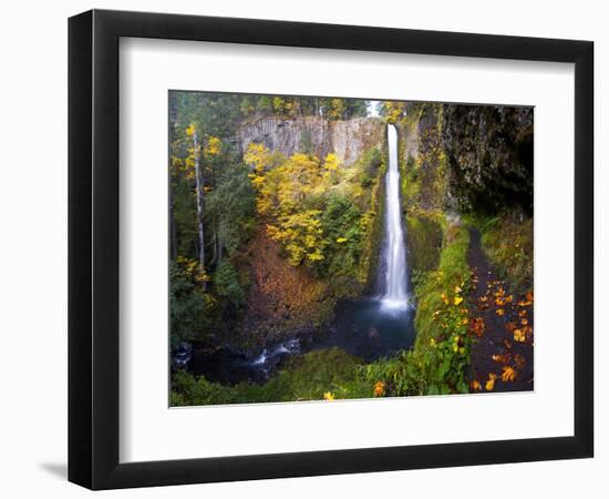 Tunnel Falls in a Fall Color Scene on Eagle Creek in the Columbia Gorge, Oregon, USA-Gary Luhm-Framed Photographic Print