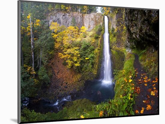 Tunnel Falls in a Fall Color Scene on Eagle Creek in the Columbia Gorge, Oregon, USA-Gary Luhm-Mounted Photographic Print