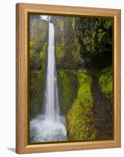 Tunnel Falls on Eagle Creek, Columbia Gorge, Oregon, USA-Gary Luhm-Framed Premier Image Canvas