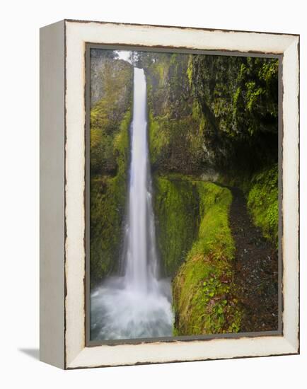 Tunnel Falls on Eagle Creek, Columbia Gorge, Oregon, USA-Gary Luhm-Framed Premier Image Canvas