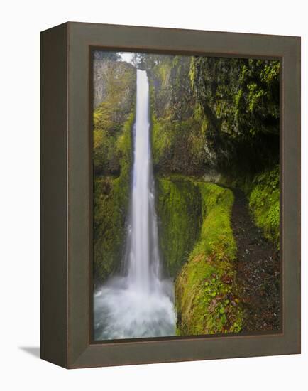 Tunnel Falls on Eagle Creek, Columbia Gorge, Oregon, USA-Gary Luhm-Framed Premier Image Canvas