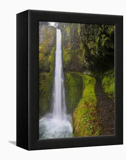 Tunnel Falls on Eagle Creek, Columbia Gorge, Oregon, USA-Gary Luhm-Framed Premier Image Canvas