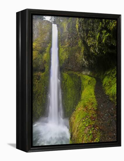 Tunnel Falls on Eagle Creek, Columbia Gorge, Oregon, USA-Gary Luhm-Framed Premier Image Canvas