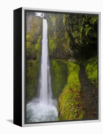 Tunnel Falls on Eagle Creek, Columbia Gorge, Oregon, USA-Gary Luhm-Framed Premier Image Canvas