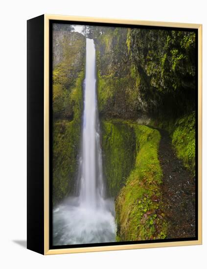 Tunnel Falls on Eagle Creek, Columbia Gorge, Oregon, USA-Gary Luhm-Framed Premier Image Canvas