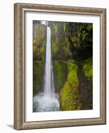 Tunnel Falls on Eagle Creek, Columbia Gorge, Oregon, USA-Gary Luhm-Framed Photographic Print