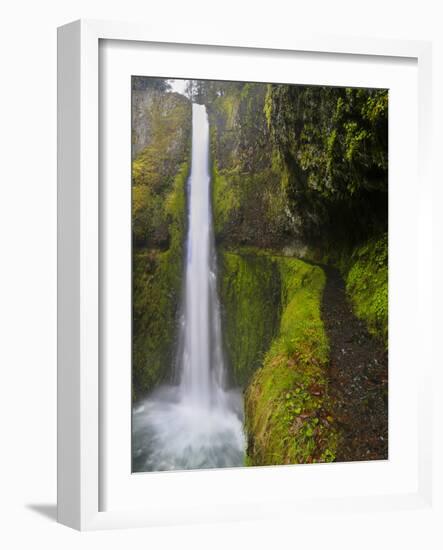 Tunnel Falls on Eagle Creek, Columbia Gorge, Oregon, USA-Gary Luhm-Framed Photographic Print