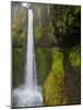 Tunnel Falls on Eagle Creek, Columbia Gorge, Oregon, USA-Gary Luhm-Mounted Photographic Print