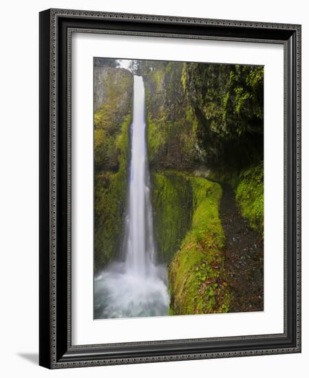 Tunnel Falls on Eagle Creek, Columbia Gorge, Oregon, USA-Gary Luhm-Framed Photographic Print