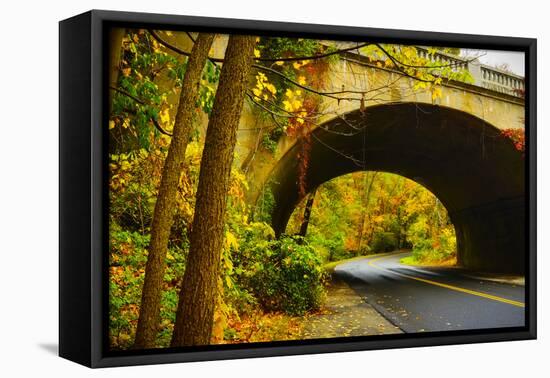 Tunnel of Fall-Eye Of The Mind Photography-Framed Premier Image Canvas