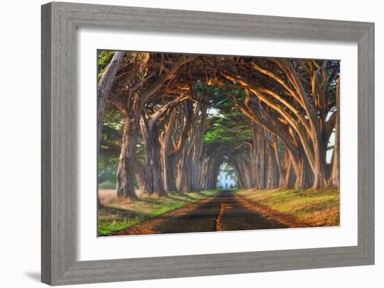 Tunnel of Light-Lee Sie-Framed Photographic Print