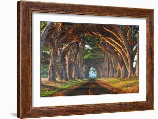 Tunnel of Light-Lee Sie-Framed Photographic Print