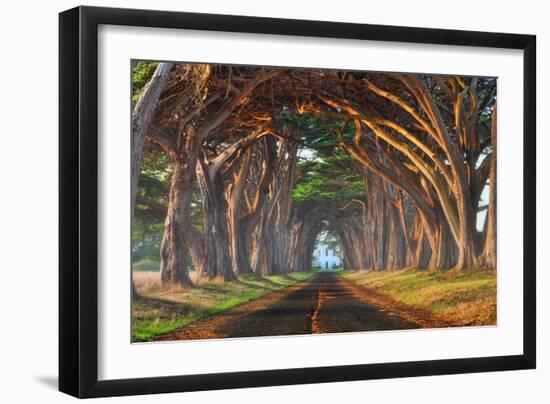 Tunnel of Light-Lee Sie-Framed Photographic Print