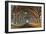 Tunnel of Light-Lee Sie-Framed Photographic Print