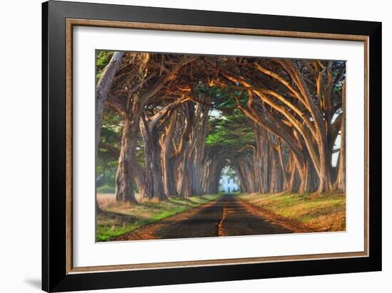 Tunnel of Light-Lee Sie-Framed Photographic Print