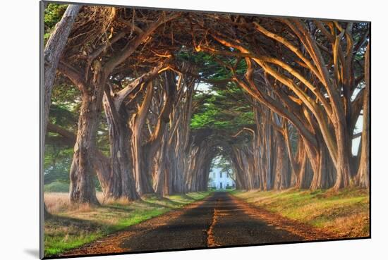 Tunnel of Light-Lee Sie-Mounted Photographic Print