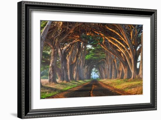 Tunnel of Light-Lee Sie-Framed Photographic Print