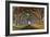 Tunnel of Light-Lee Sie-Framed Photographic Print