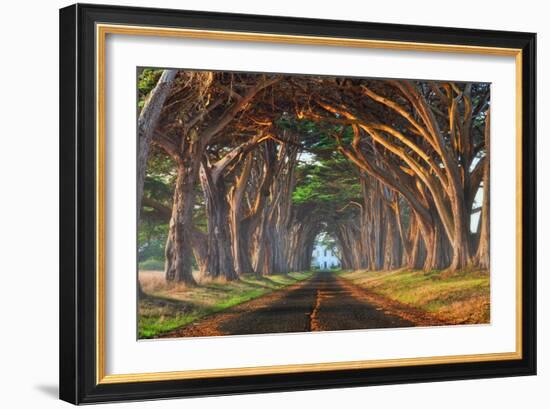 Tunnel of Light-Lee Sie-Framed Photographic Print