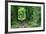 Tunnel of Love-tverkhovinets-Framed Photographic Print