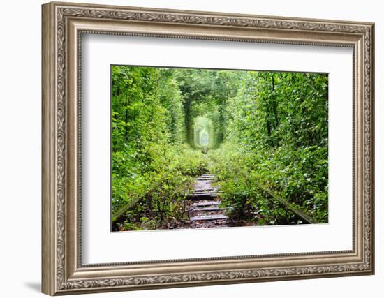 Tunnel of Love-tverkhovinets-Framed Photographic Print